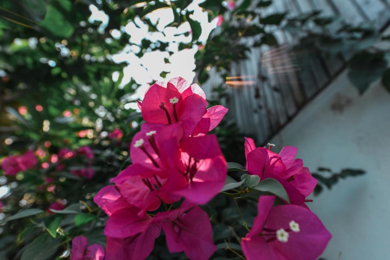 Oh Battambang Boutique Hotel 외부 사진